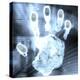 Handprint Forensics-PASIEKA-Premier Image Canvas