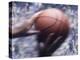 Hands Grabbing a Basketball-null-Premier Image Canvas