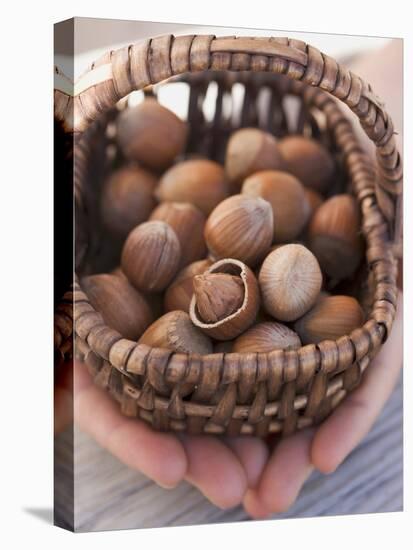 Hands Holding Basket of Hazelnuts-null-Premier Image Canvas