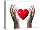 Hands Holding Heart-David Mack-Premier Image Canvas