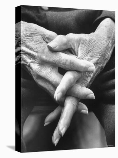 Hands of an Old Man-Michael Rougier-Premier Image Canvas