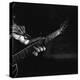 Hands of Maybelle Carter Millard Playing the Guitar-Eric Schaal-Premier Image Canvas