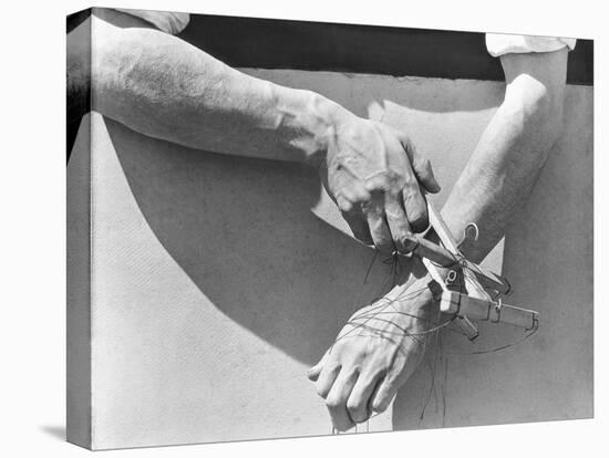 Hands of the Puppeteer, 1929-Tina Modotti-Premier Image Canvas