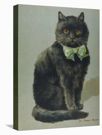 Handsome Black Cat Sir Thomas Mouser Sits Posed with a Green Ribbon Around His Neck-null-Premier Image Canvas