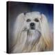 Handsome Lhasa Apso-Jai Johnson-Premier Image Canvas