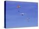 Hang Glider 9-Toula Mavridou-Messer-Premier Image Canvas