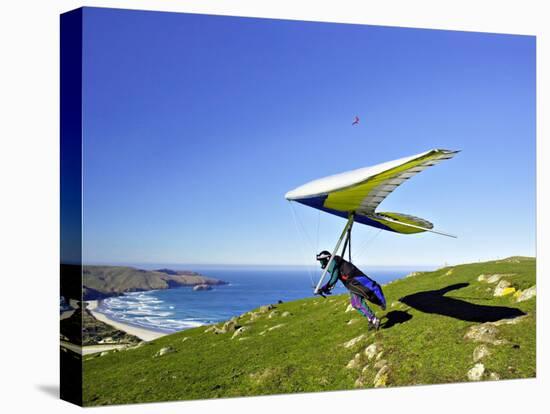 Hang Glider, Otago Peninsula, South Island, New Zealand-David Wall-Premier Image Canvas