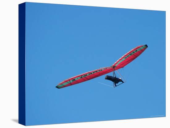 Hang glider, Otago Peninsula, South Island, New Zealand-David Wall-Premier Image Canvas