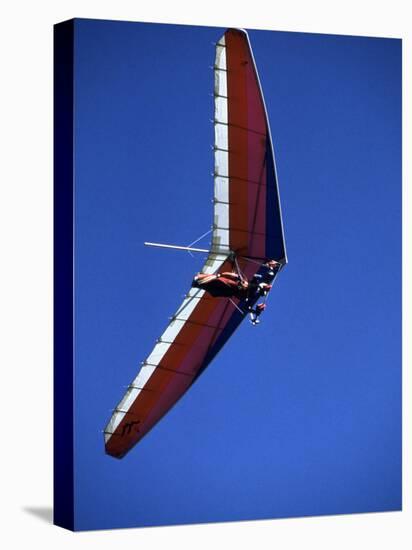 Hang Glider-null-Premier Image Canvas