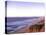 Hang Gliding off Beach in Monterey, California, USA-Georgienne Bradley-Premier Image Canvas