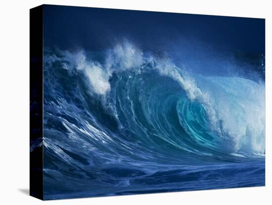 Hang Ten-Art Wolfe-Premier Image Canvas