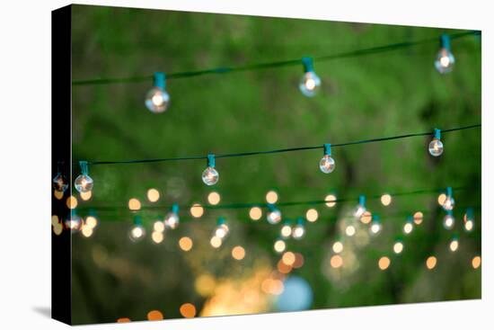 Hanging Decorative Christmas Lights For A Back Yard Party-imging-Premier Image Canvas