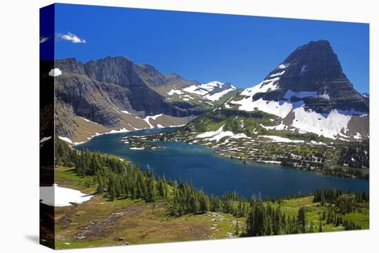 Hanging Gardens, Logan Pass, Glacier National Park, Montana, USA-Charles Gurche-Premier Image Canvas