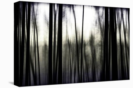 Hanging in the Branches-Rory Garforth-Premier Image Canvas