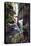 Hanging Liana Vines Frame Waterfall Tumbling Into Emerald Pool-John Dominis-Premier Image Canvas