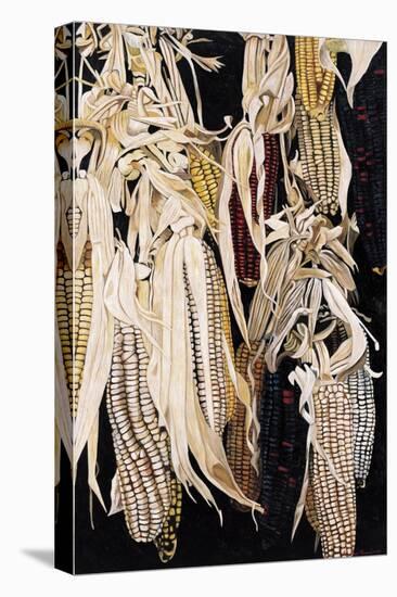 Hanging Maize Cobs, One Red, 2004-Pedro Diego Alvarado-Premier Image Canvas