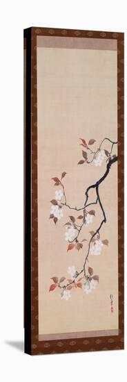 Hanging Scroll Depicting Cherry Blossoms, from a Triptych of the Three Seasons, Japanese-Sakai Hoitsu-Premier Image Canvas