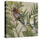 Hanover Birds II-Chariklia Zarris-Stretched Canvas