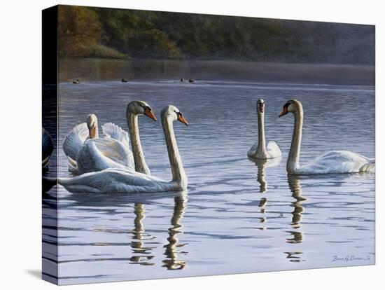 Hanover Swans Five-Bruce Dumas-Premier Image Canvas