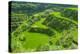 Hapao Rice Terraces, Part of the World Heritage Site Banaue, Luzon, Philippines-Michael Runkel-Premier Image Canvas