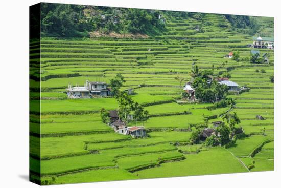 Hapao Rice Terraces, World Heritage Site, Banaue, Luzon, Philippines-Michael Runkel-Premier Image Canvas