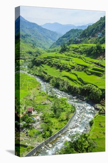 Hapao Rice Terraces, World Heritage Site, Banaue, Luzon, Philippines-Michael Runkel-Premier Image Canvas