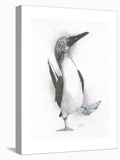 Happy Feet-Barbara Keith-Premier Image Canvas