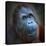 Happy Smile Of The Bornean Orangutan (Pongo Pygmaeus)-Kletr-Premier Image Canvas