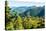 Harbor Mountain, Baranof Island, Alexander Archipelago, Southeast Alaska, USA-Mark A Johnson-Premier Image Canvas