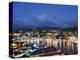 Harbour and Town Houses, St. George's, Grenada, Windward Islands, West Indies, Caribbean-Christian Kober-Premier Image Canvas
