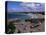 Harbour at Low Tide with Town Beach Beyond, Newquay, Cornwall, England, United Kingdom-Julian Pottage-Premier Image Canvas