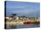 Harbour, La Cotiniere, Ile D'Oleron, Poitou Charentes, France, Europe-Thouvenin Guy-Premier Image Canvas