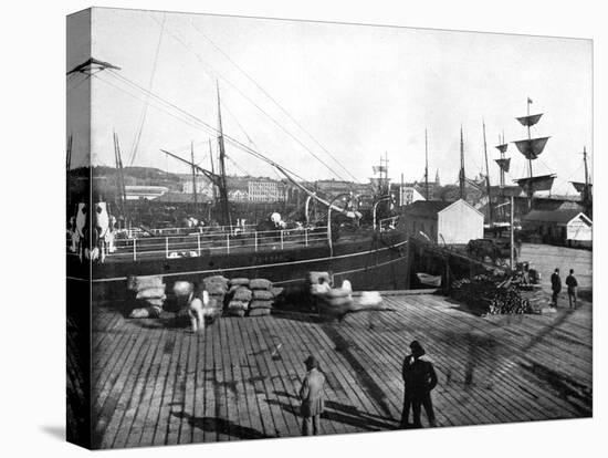 Harbour of Auckland, New Zealand, 1893-John L Stoddard-Premier Image Canvas