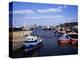 Harbour, Seahouses, Northumberland, England, United Kingdom-Geoff Renner-Premier Image Canvas