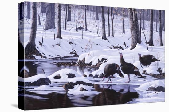 Hardwood Creek - Wild Turkeys-Wilhelm Goebel-Premier Image Canvas