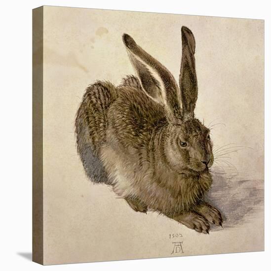 Hare, 1502-Albrecht Dürer-Premier Image Canvas