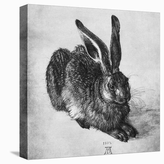 Hare, 1502-Albrecht Durer-Premier Image Canvas