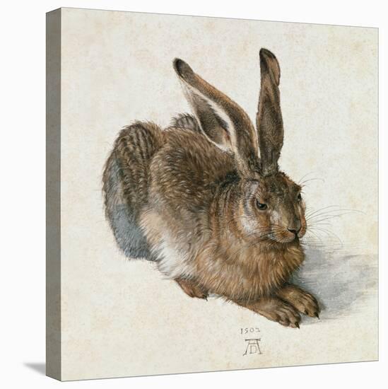 Hare, 1502-Albrecht Dürer-Premier Image Canvas