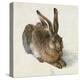 Hare-Hase. Watercolour.-Albrecht Dürer-Premier Image Canvas