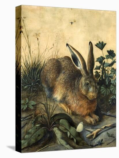 Hare-Hans Hoffmann-Premier Image Canvas