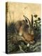 Hare-Hans Hoffmann-Premier Image Canvas