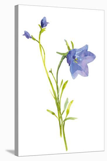 Harebells I-Sandra Jacobs-Stretched Canvas