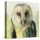 Harlequin Hibou I-Grace Popp-Stretched Canvas