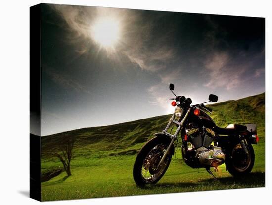 Harley Davidson Motorbike Sitting in Field, June 1998-null-Premier Image Canvas