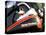 Harley Davidson Motorcycle-null-Premier Image Canvas