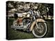 Harley-Stephen Arens-Premier Image Canvas