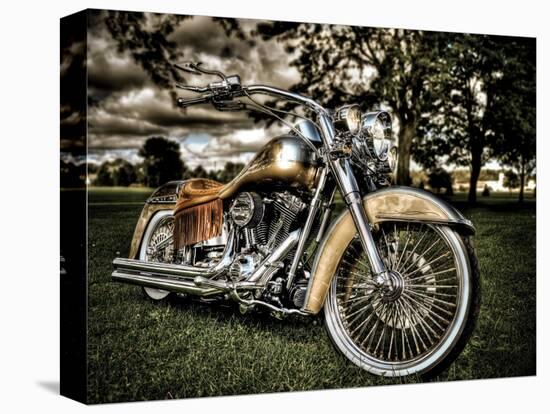 Harley-Stephen Arens-Premier Image Canvas