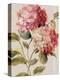 Harmonious Hydrangeas Linen-Lisa Audit-Stretched Canvas