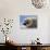 Harp Seal Pup-John Conrad-Premier Image Canvas displayed on a wall