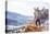 Harriet Ridley Coils A Line In Escalante Canyon, CO-Dan Holz-Premier Image Canvas